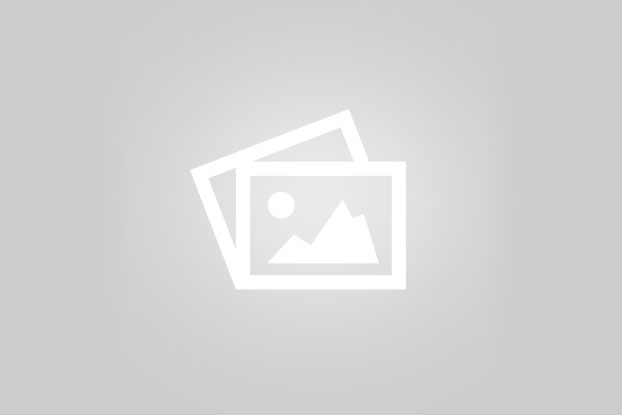 انواع گل ها در گل فروشی شهر گل